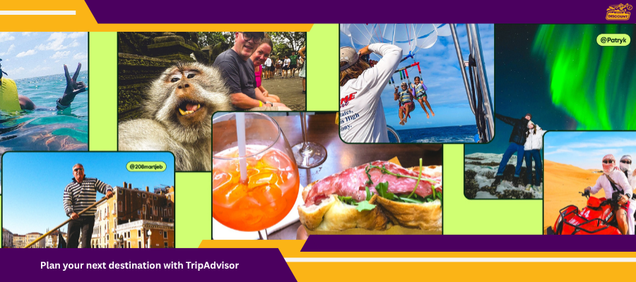 TripAdvisor