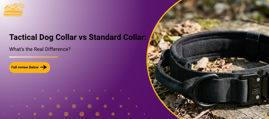 Tactical Dog Collar vs Standard Collar